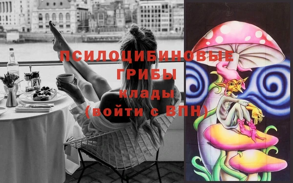 каннабис Нефтекумск