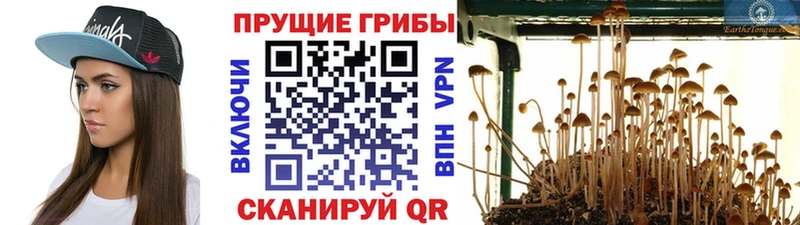 Галлюциногенные грибы прущие грибы  наркотики  Новомичуринск 